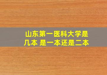 山东第一医科大学是几本 是一本还是二本